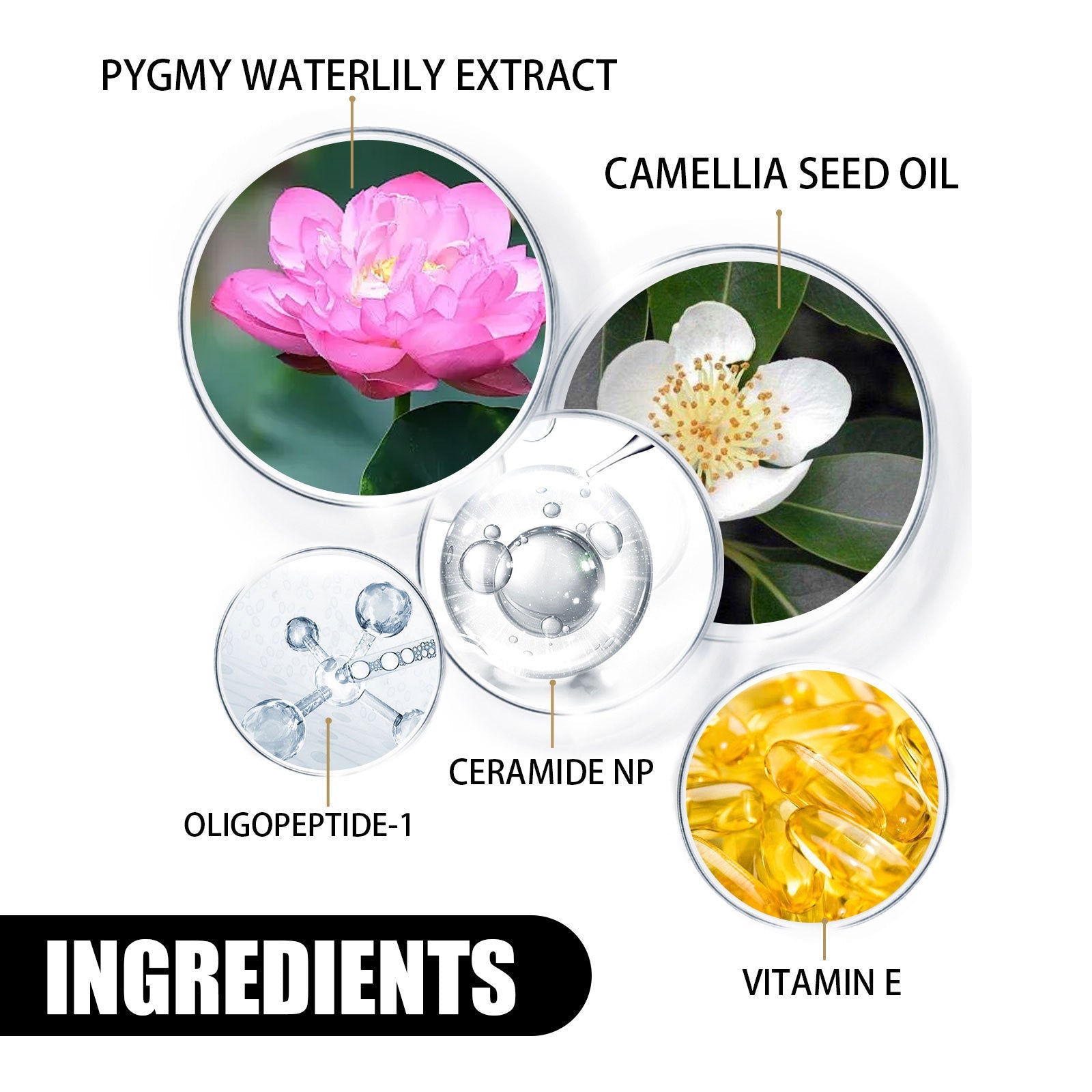 GlowRenew Hydrating Face Cream product detail image 7